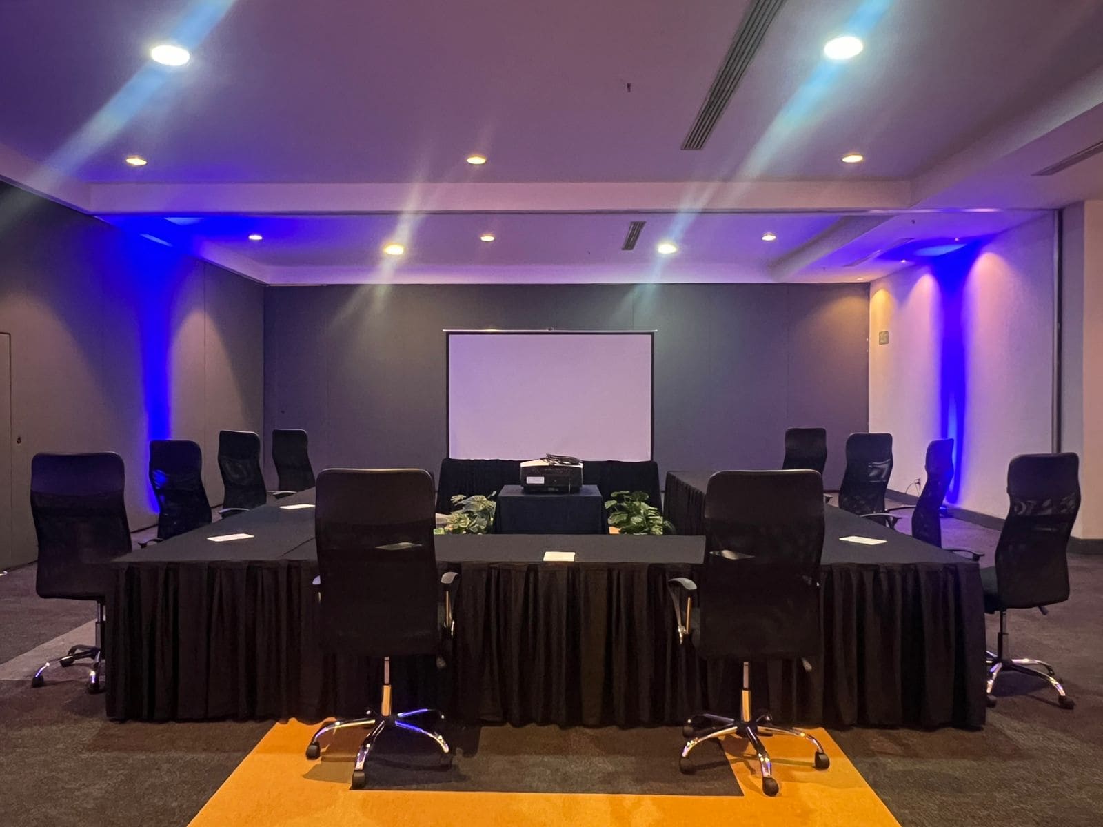 Cancun-Center_g-c-mice-6